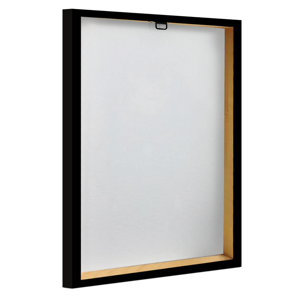 Minions & Monsters Canvas Wall Art